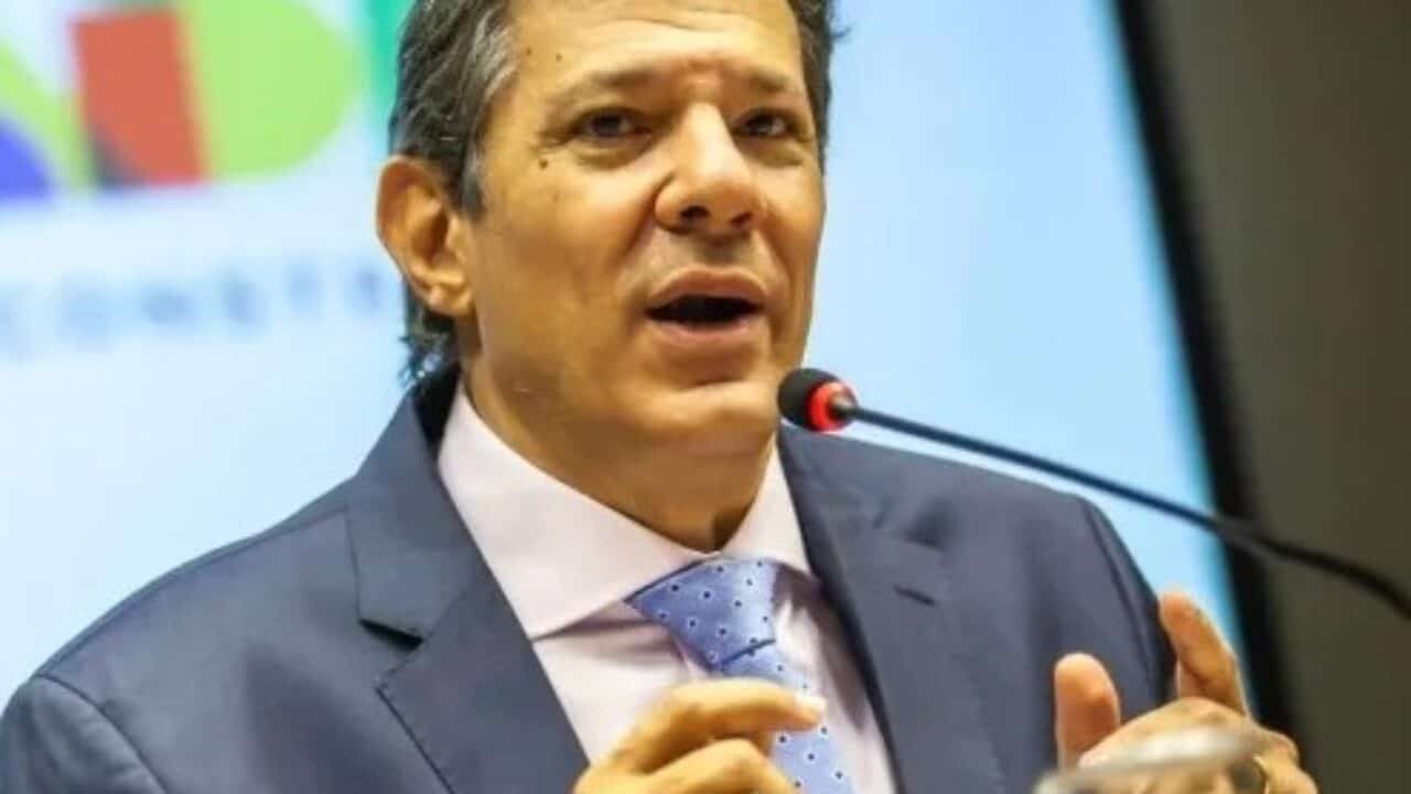 Não conheço a Shein, conheço a , onde compro livro todo dia”, diz  Haddad - Ecos da Noticia