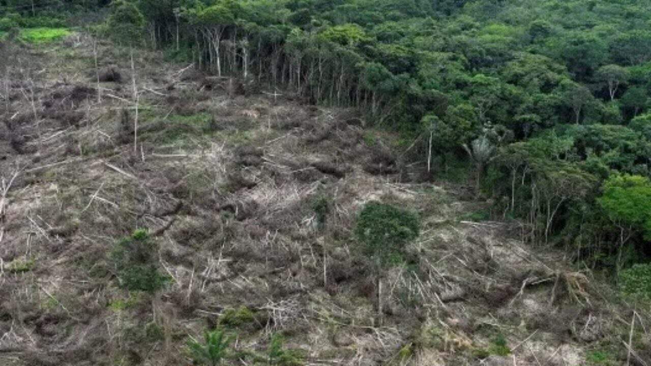 Amazônia: Desmatamento tem segunda maior cifra da série, diz Inpe