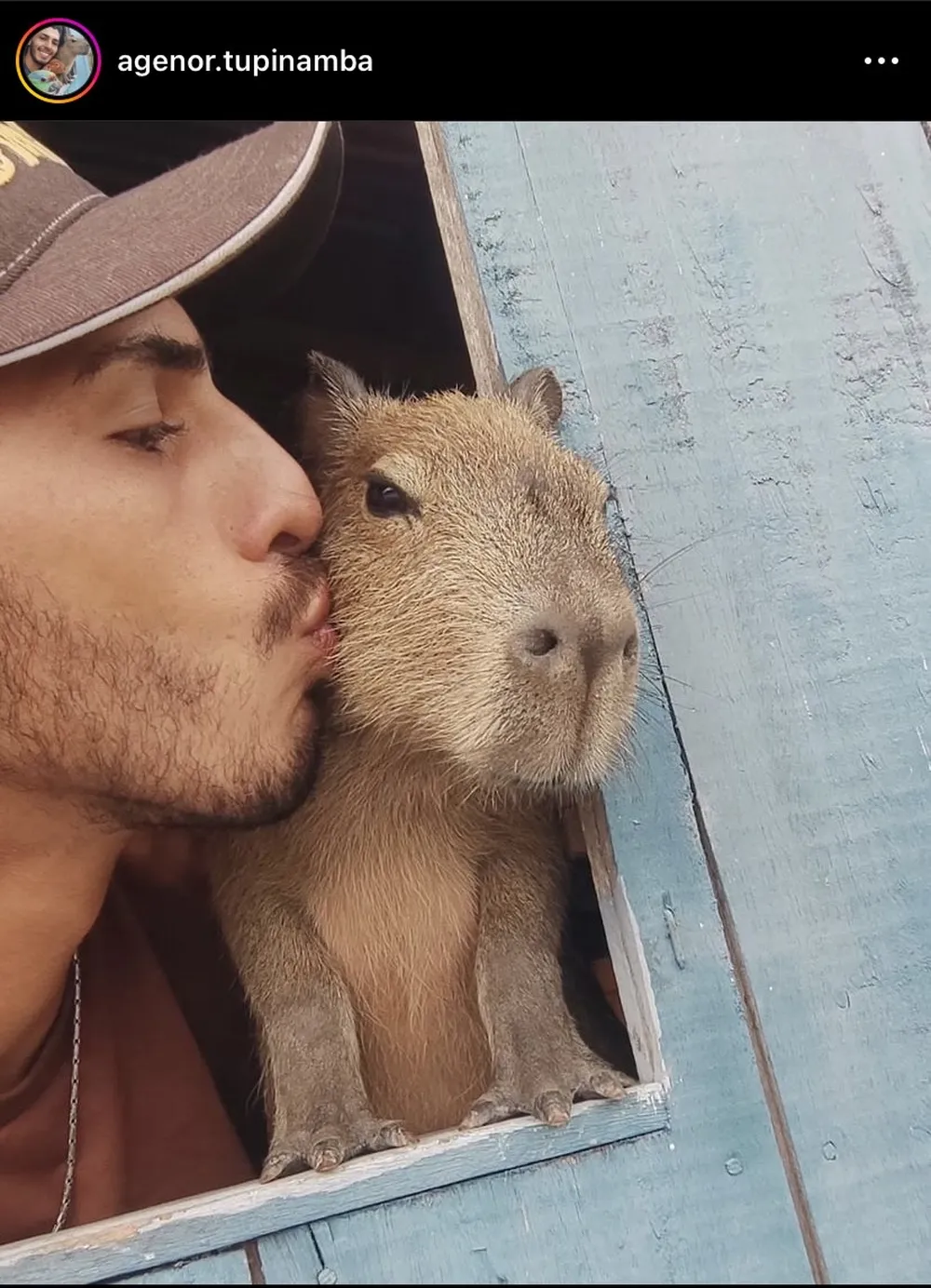 DEVOLUÇÃO DE CAPIVARA A INFLUENCER BUSCA BEM-ESTAR DE FILÓ, E NÃO