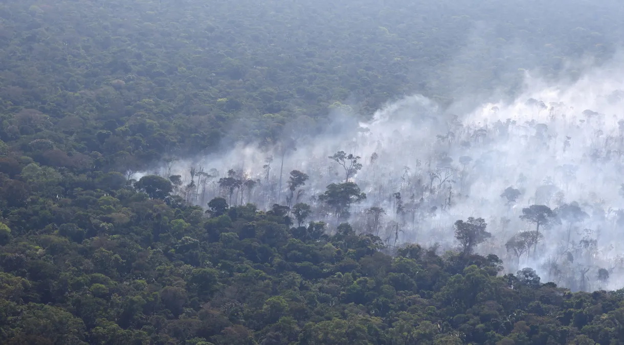 Amazônia: Desmatamento tem segunda maior cifra da série, diz Inpe