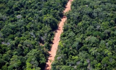 desmatamento de floresta amazonica 1714067030610 v2 900x506.png