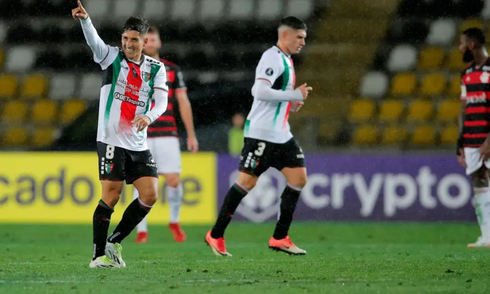 palestino flamengo libertadores e1715133243833