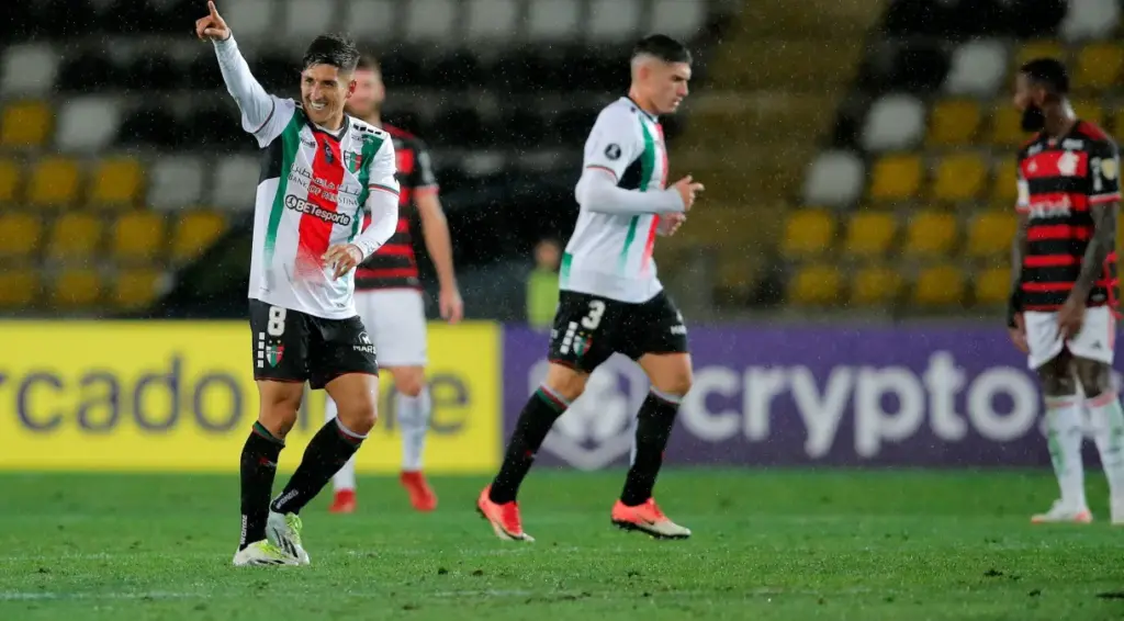 palestino flamengo libertadores e1715133243833