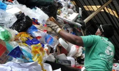reciclagem preserva o meio ambiente 1 929556 1000x600 (1)