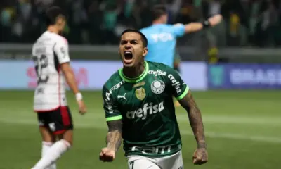 dudu palmeiras flamengo campeponato brasileiro