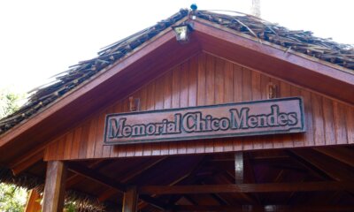 memorial chico mendes 17 e1717793106489