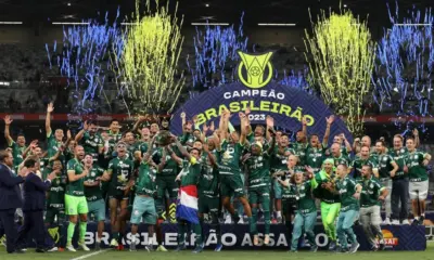 palmeiras