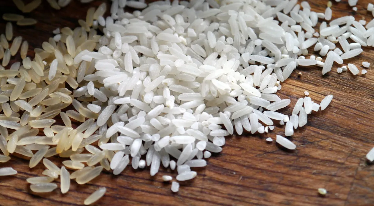 arroz a8602b (1)