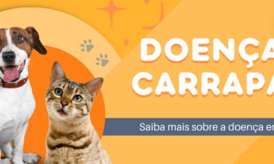 banner doença do carrapato