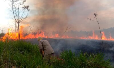 capa fogo