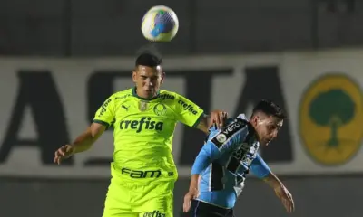 gremio palmeiras brasileiro