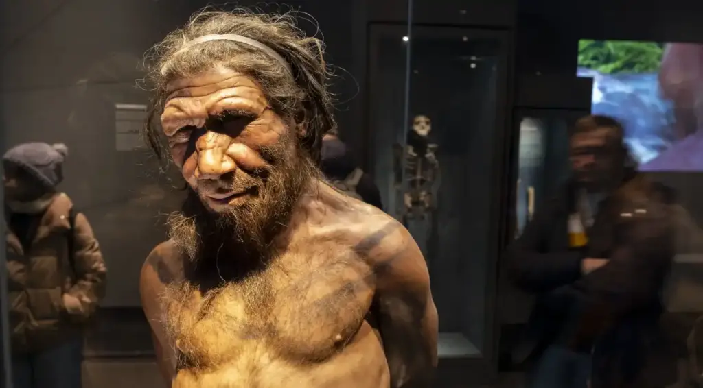 neandertal e1722439383321