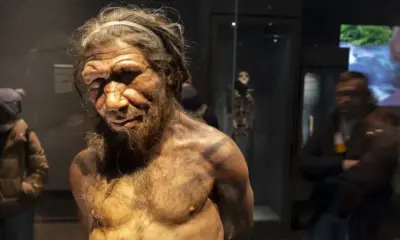 neandertal e1722439383321