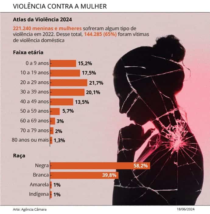 violencia contra mulher camara