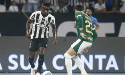 botafogo x palmeiras 17 07 brasileiro 2024