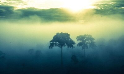 rio branco de cima frio 4