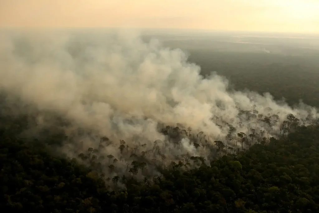 2024 08 05t203153z 1549639608 rc2519asy83z rtrmadp 3 climate change rainforest