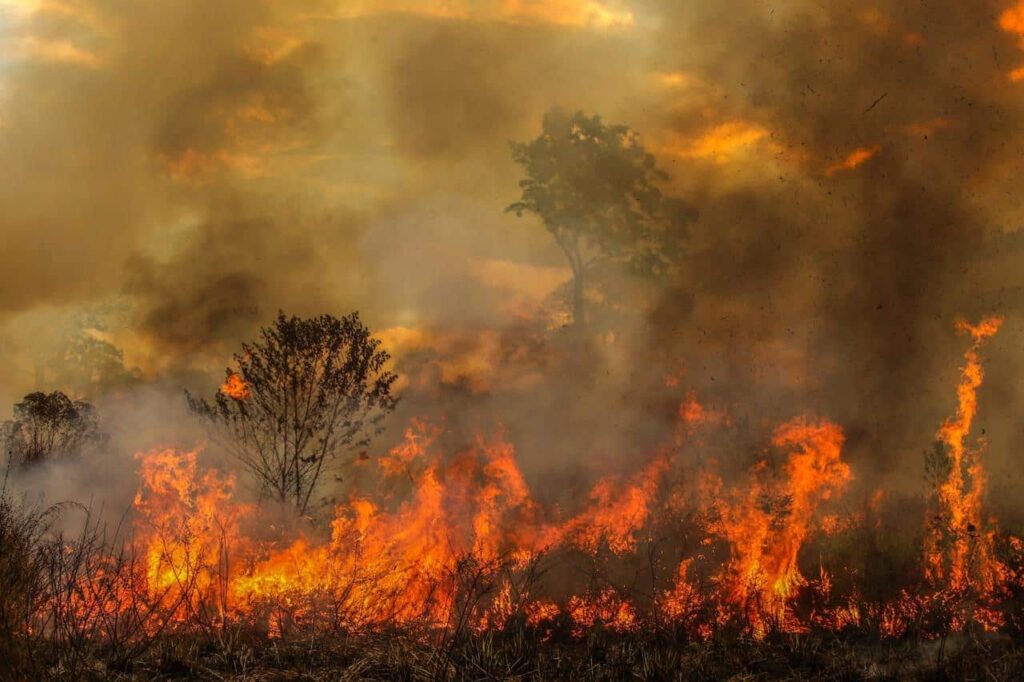 fogo queimada