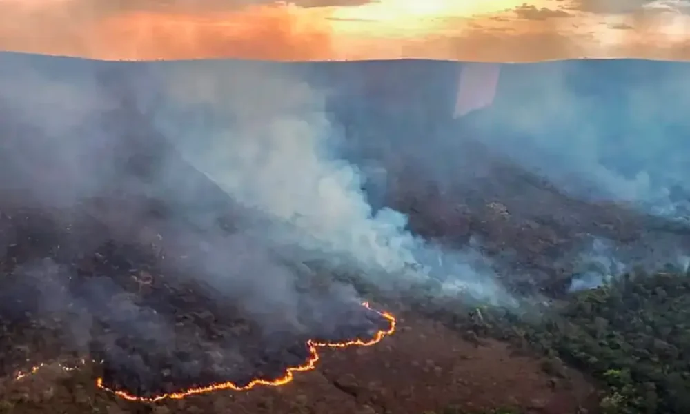 queimada incendio (1)