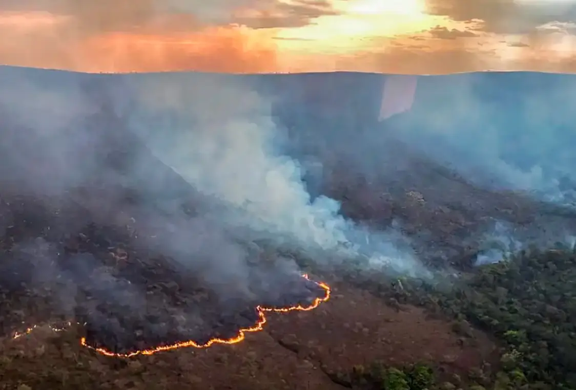 queimada incendio (1)